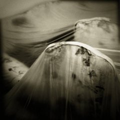 PICT4912_p_H170S50C33_dcrv1_holg