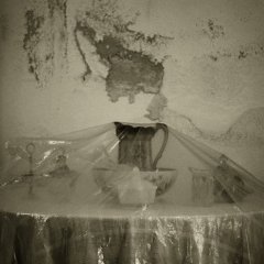 PICT4919_p_H170S50C33_dcrv1