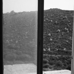 PICT7006_p_H170S50C33