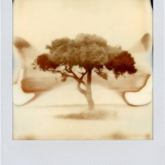 8-PolaroidDreams-004