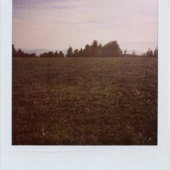 8-PolaroidDreams-027