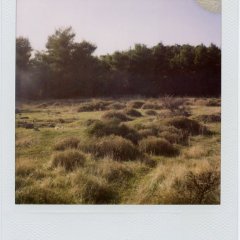 nkpola779_20111211_02_700x