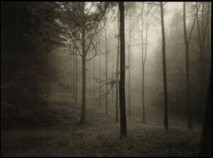 Josef Sudek (1896-1976)