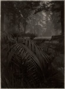 Josef Sudek (1896-1976)